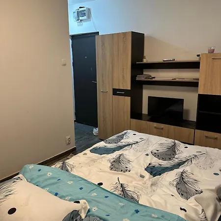 Apartment Garsoniera Unirii - Central